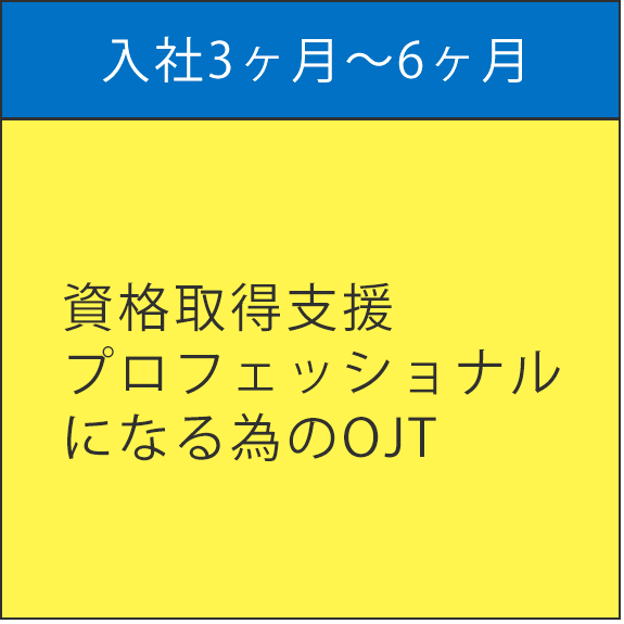 入社3ヶ月～6ヶ月