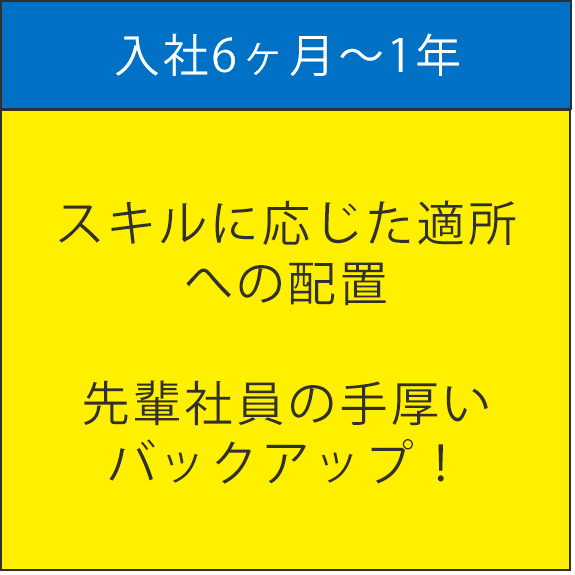 入社6ヶ月～1年